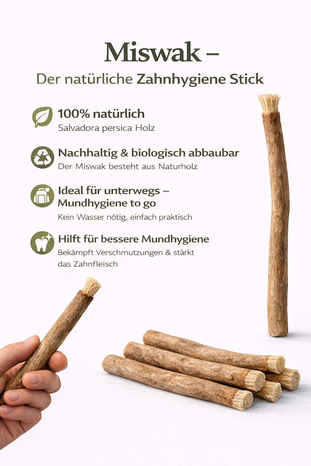 Miswak Naturzweig traditionelle Zahnpflege