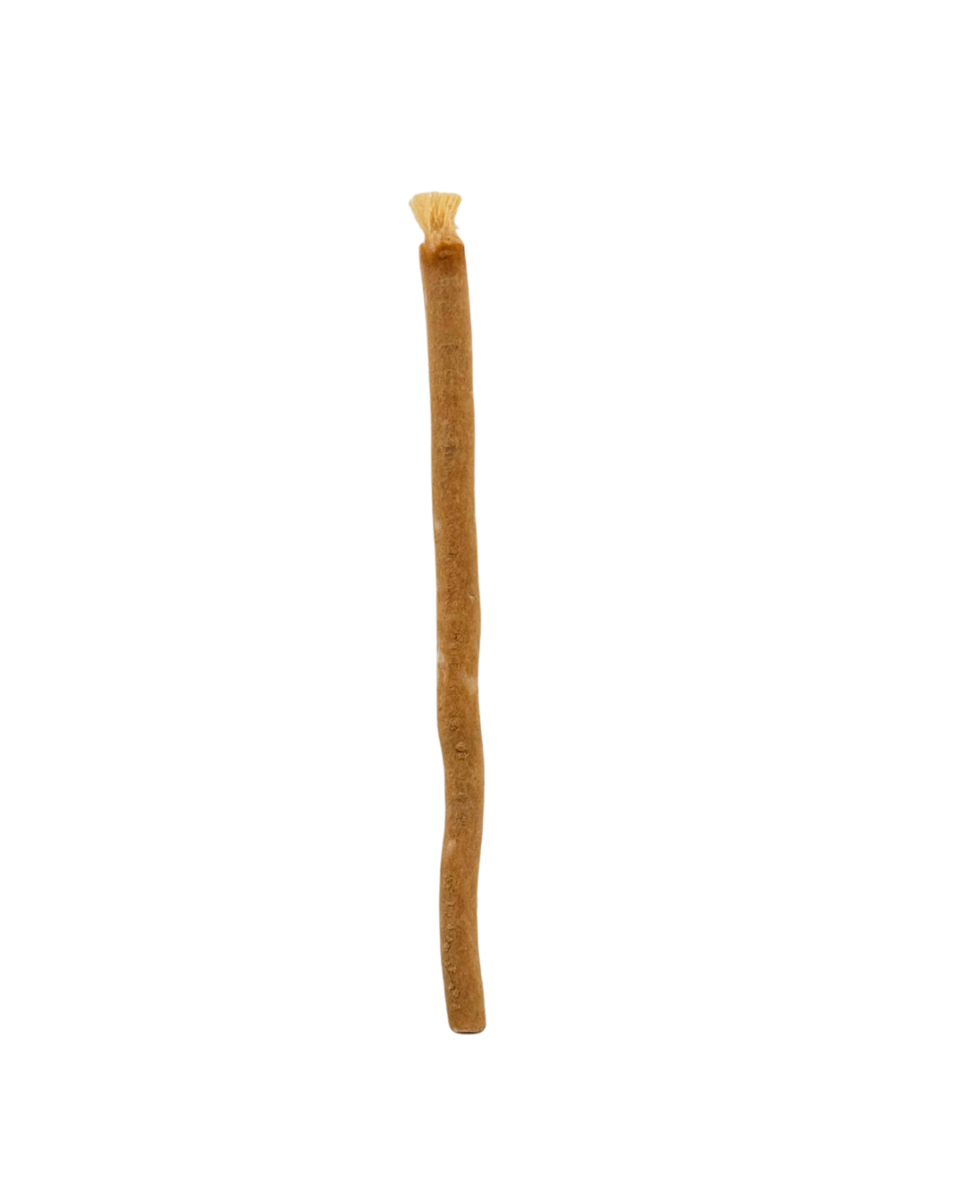 Miswak Naturzweig traditionelle Zahnpflege
