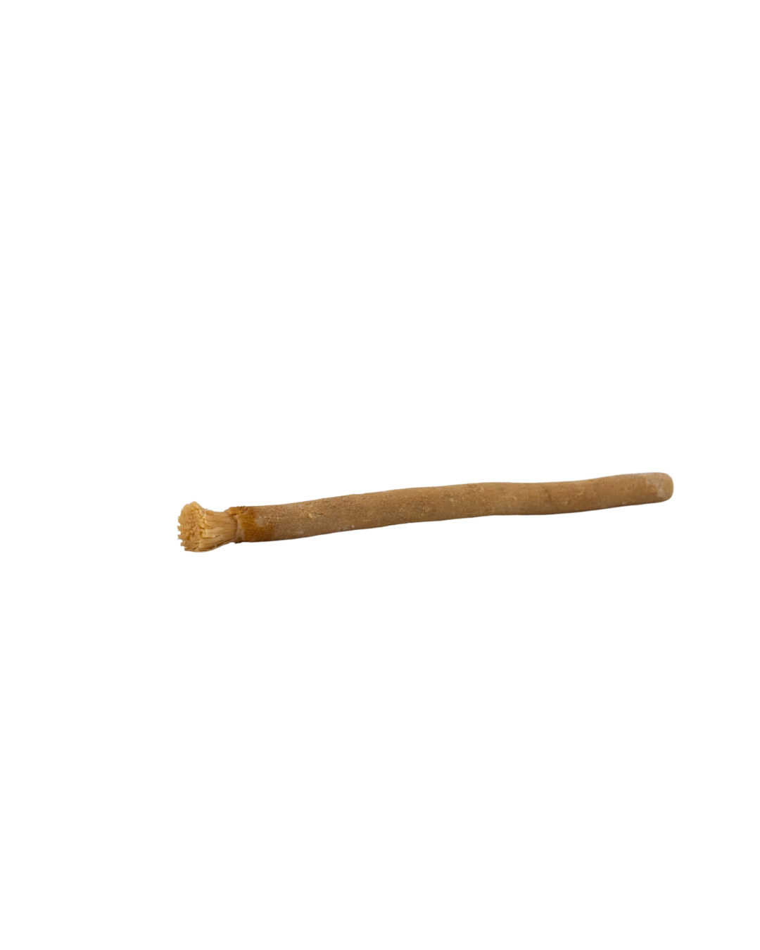 Miswak Naturzweig traditionelle Zahnpflege